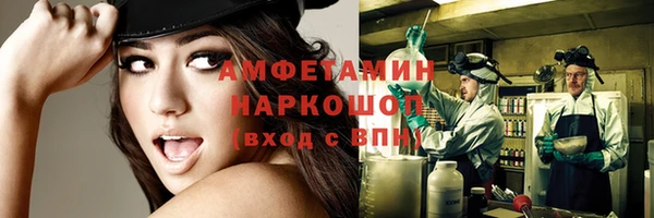 молекула духа Бородино