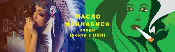 молекула духа Бородино