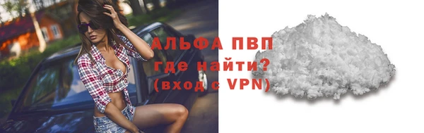 молекула духа Бородино