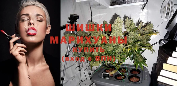 мдпв Бугульма