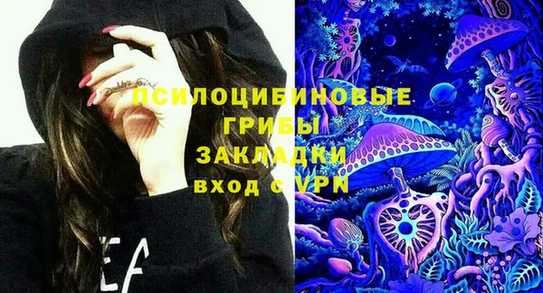 мдпв Бугульма