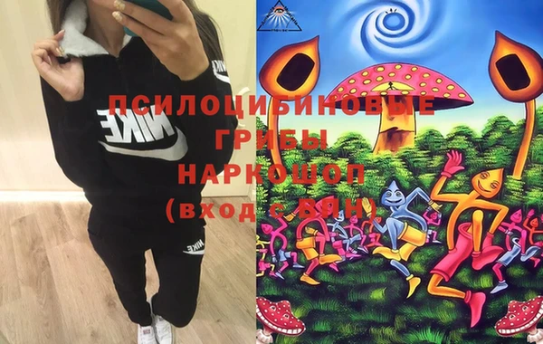 скорость Бронницы