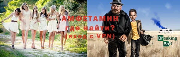 молекула духа Бородино