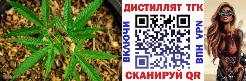 Купить  Новосокольники  Дистиллят ТГК Wax 
