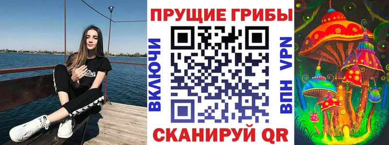 Купить  Новосокольники  Псилоцибиновые грибы Psilocybine cubensis 